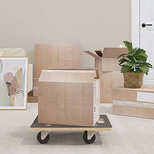 Home Garden Transportwagen, rechteckig, 50 x 35 x 11,5 cm, 2 Stück
