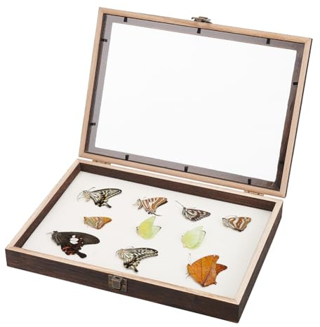 PH PandaHall Insekten Vitrine Schaufenster Schattenkasten Rahmen Holz Präsentationsbox Proben Vitrine Für Insekten Proben Zuhause Sammlungen Museen 12.2x7.8x1.8 Zoll