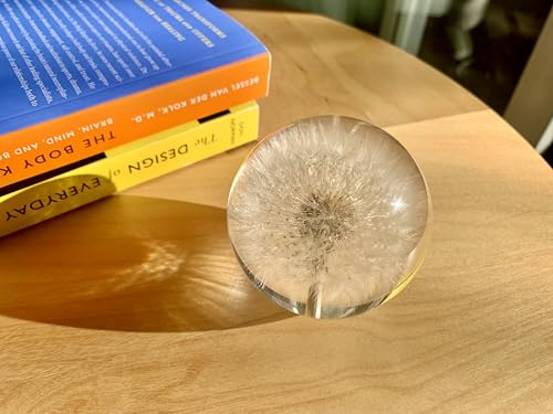 NouvoCrescent Briefbeschwerer mit echtem Löwenzahn, Heimdekoration, Kristallharz-Kugel, 70 mm, klarer Kunstharz, Löwenzahn, Blumenkugel für besondere Tage, Kugelfigur, Büro-Briefbeschwerer mit flachem