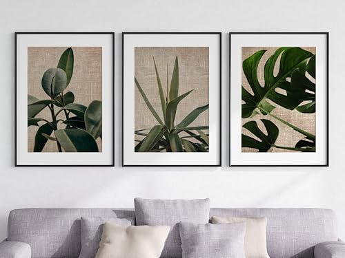 Tropical Plants Set of 3 Unframed Wall Poster Prints, Cheese Plant Palm Rubber Plant, Digitally Printed Linen Background, Kitchen Lounge Bedroom Bathroom Home Decor, Green Brown (A3)