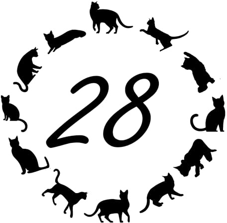 Multi Pack Cute Cat Circle Number Waterproof Sticker - Easy to Apply - Custom Wheelie Bin/Recycling Box/House Number/Door Signs