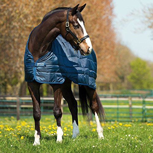 Horseware Irland Pferdedecke, 200 g, Pferde-Outdoordecke, ABAD62, Navy/Navy, 6'6 (198cm)