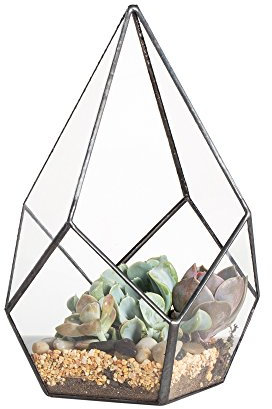 NCYP Geometric Plants Terrarium - Tabletop Glass Terrarium Planter for Succulent, Fern, Small Cacti - 14x14x23 cm - Indoor Fairy Garden Decorative Container, Black (No Plants)