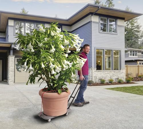 Westfalia 4 in 1 Schwerlast „TransPorter“