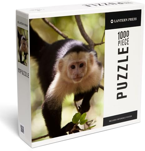 Lantern Press Capuchin Monkey 1000 Piece Jigsaw Puzzle for Adults, Made in USA with Reference Poster