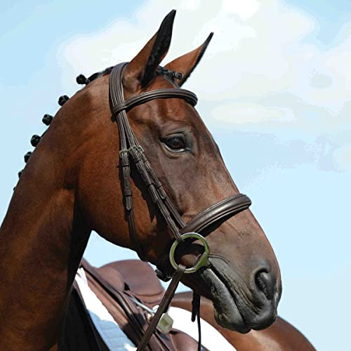 Collegiate Syntovia+ Padded Raised Cavesson Bridle, Brown, Pony
