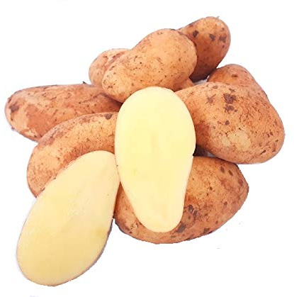 Frische Kartoffeln Speisekartoffeln Annabelle 1-25 KG neue Ernte 2025 festkochend Salatkartoffel zum Grillen für Kartoffelsalat, Pellkartoffeln, Bratkartoffeln, Pommes Frites, Butterkartoffeln (5)