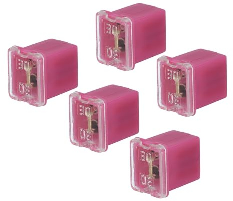 QUARKZMAN 5 Stück Blocksicherung Mini Auto Sicherungen, 48V 30A Low Jcase Flachsicherungen mit Kunststoffbox für PKW Wohnmobil LKW, Rosa