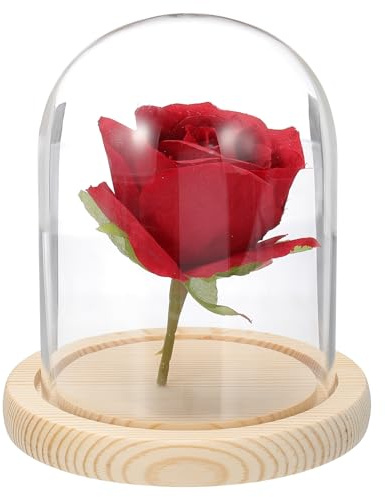 sourcing map Glass Cloche Display Dome, 4.7 x 3.5 Glass Dome Display Case Wood Base Tabletop Jar Case Decorative Bell Jar for Plant Home Decor Office Wedding Party, Natural