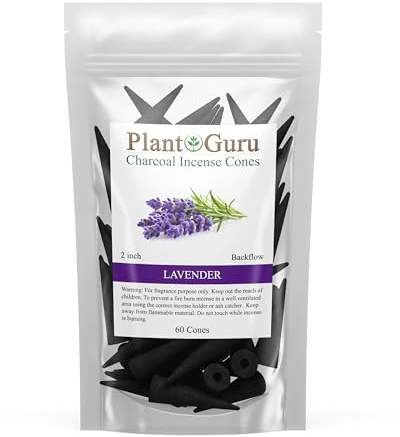 Lavender Charcoal Incense Cones 2 BACKFLOW - 60 Pack Bulk - Natural Scented Cones Handmade Hand Dipped