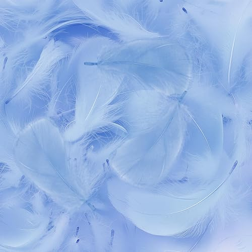 Mbsomnus 600 Pezzi Piume Azzurro Chiaro 5-12 cm Piume Decorative per Lavoretti DIY Artigianato Costumi Cappelli Orecchini Sogni Catturati Matrimonio Festival Compleanno Decorazioni