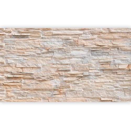 murando - Fototapete Vlies Steinewand, 500x280 cm, Schlafzimmer, Wohnzimmer | Full HD Druck, 3D-Effekt, lichtbeständige Farben, ideal fürs Wohn- oder Schlafzimmer, schnelle Montage, lichtbeständig, edel