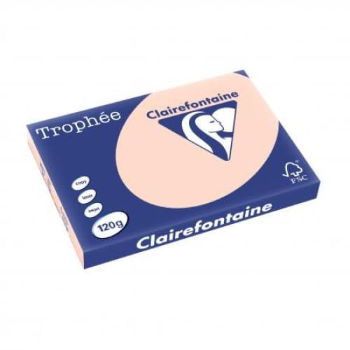 Clairefontaine 1309C - Ries mit 250 Blatt Druckerpapier / Kopierpapier Trophée, DIN A3 (29,7x42 cm), 120g, Lachs Pastellfarbe, 1 Ries