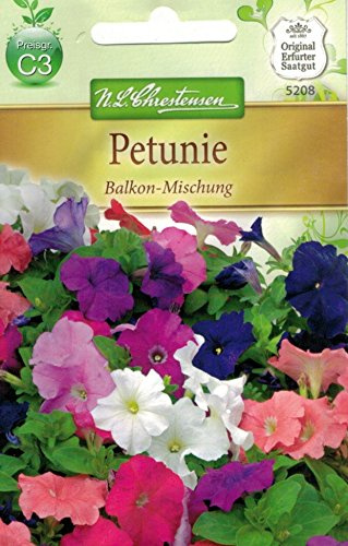 Chrestensen Petunie 'Balkon-Mischung'