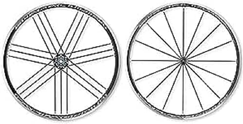Campagnolo Shamal Ultra/schwarz