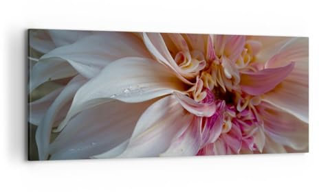 Wandbilder Dekoration Wohnzimmer Blume Dahlie Anlage Panorama Bilder auf Leinwand 120x50cm Leinwandbild Schlafzimmer Küche Wand Kunstdruck Art Groß Wanddeko Bild Wall Decor Canvas AB120x50-5352