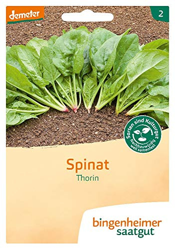 Bingenheimer Saatgut Spinat Thorin demeter bio für 10-12 m²