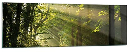 ARTTOR Bilder auf Glas 160x50cm Wandbild Glasdruck Landschaften Wald - 3661 | Baum Natur Panorama Groß XXL Modern Dekoration Wohnzimmer Schlafzimmer Küche Wanddeko Kunstdruck Art Wall Decor ARTTOR