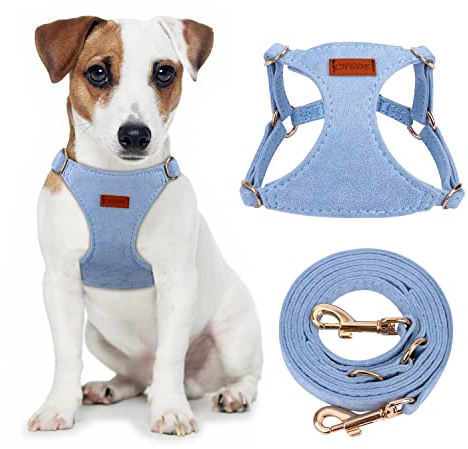 CHEDE No Pull Puppy Harness and Multifunction Dog Leash Set- 8 Colors Soft Adjustable No Choke Escape Proof Cute,Lightweight Pet Vest Harness for Small and Medium Dog (S, Blue)