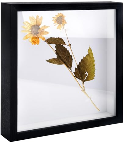 TNSLAND 3D Bilderrahmen zum Befüllen Bilderrahmen 20x20 cm für Objekt bis 3cm Objektrahmen Schwarz Holzfarbe mit Glas für Fotos, Blumen,Diy Erinnerungsstücke,Deko Wand