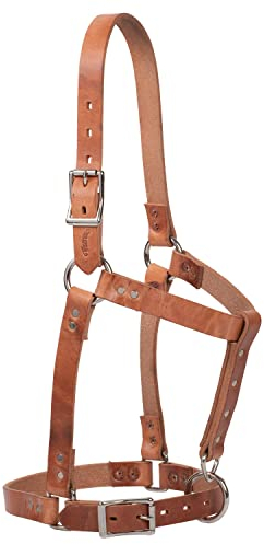 Weaver Leather Unisex-Erwachsene 2,5 cm genietetes Pferd HLTR, RU Lederhalfter, Rost, Average Horse