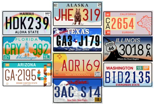 - Lotto di 10 TARGHE Auto USA in Metallo - repliche di Vere targhe Americane dei più Famosi Stati Americani - Mad