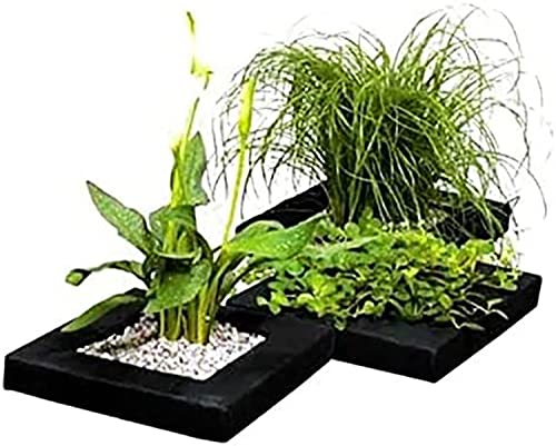 Aquacadabra 25cm Square Floating Plant Island Fish Pond Planter Planting Basket