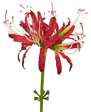 Calcifer 3 tallos de lirios de araña roja, flores artificiales de Lycoris (corazón rojo y blanco)