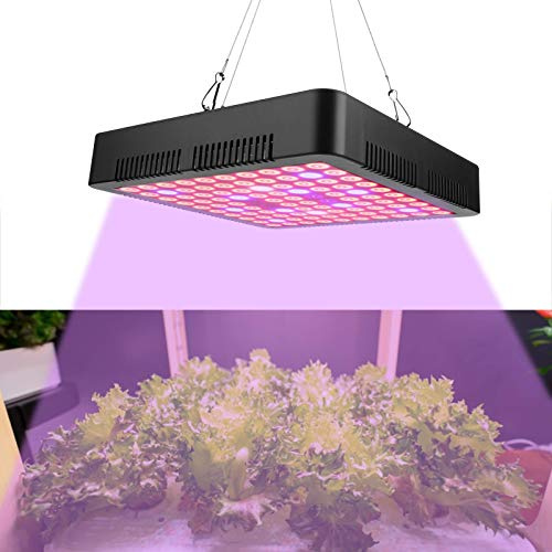 Duokon Les Plantes lvent la lumire, Les puces 300W 100LED lvent la Lampe Spectre Complet, Le Panneau LED de l'usine, Les lumires de Plus en Plus(EU Plug)