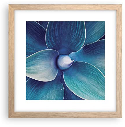 Wandposter Art Prints 30x30cm Poster Rahmen helle Eiche Agave Blau Blume Küche Wanddeko Bild Wand Kunstdruck Deko Wandbilder Dekoration Wohnzimmer Schlafzimmer Modern Wall Art Decor P2NAC30x30-4972