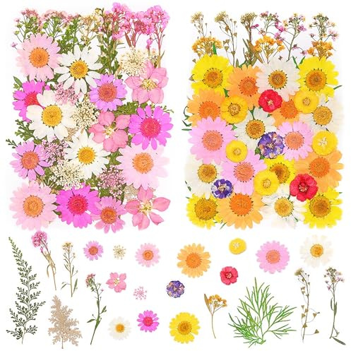 pclapora 81 Pièces Fleurs Séchées Naturelles, Fleurs Séchées Pressées, Ensemble de Fleur Séchée Naturelles Bricolage, Fleur Multicolores Pressées pour Bricolage Résine Habiller Nail Art Décorations