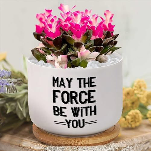 Yelolyio Fioriere personalizzate in ceramica May The Force Be with You, piccolo vaso in ceramica con citazione motivazionale per piante grasse, vasi da fiori per piante da interno