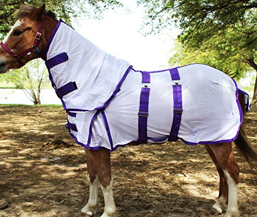 CHALLENGER 96,5 cm Miniatur Weanling Esel Pony Pferd Fohlen Sommerdecke 51808