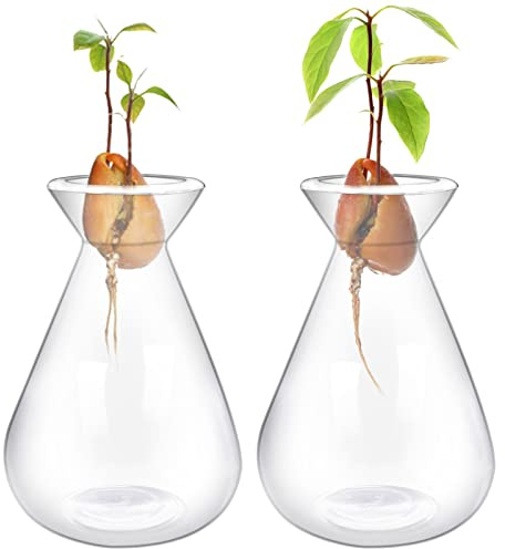 Emsiok 2 Pieces Avocado Seed Starter Vases, Avocados Tree Growing Kit Acorn Bulb Vase Grow Glass Avocado Pit Planter Pot Clear Hydroponics Container for Gardening Lover