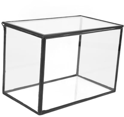 VINTORKY Terrario de Bricolaje Transparente para Plantas y Flores, Soporte de Exhibición Horizontal Resistente y Estético para Oficina o Ambientación de Interiores