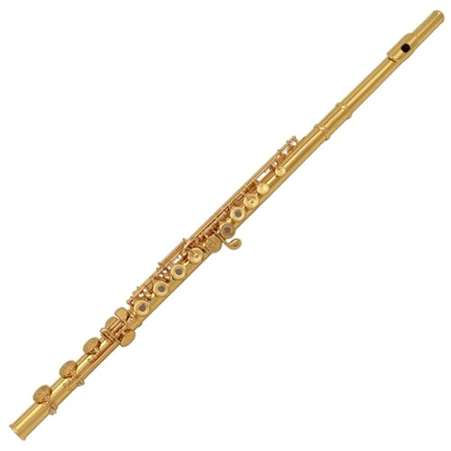 Flöjt Nybörjare Set Flöteninstrument 16 Löcher Vergoldete Flöte Professionelle Anfängerflöte