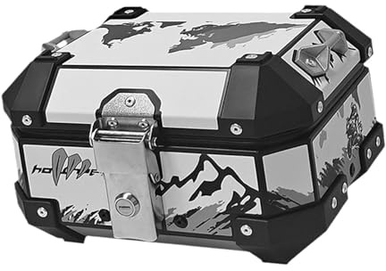 KESOTO Baúl de Motocicleta, Caja Trasera con Cerradura, Instalación Sencilla, Estuche Impermeable para Almacenamiento, 10l