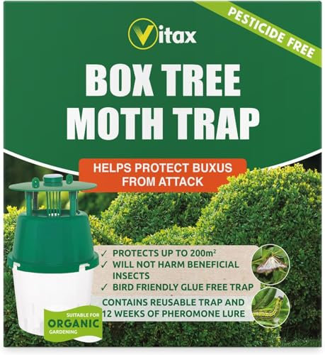 Vitax Box Tree Moth Trap | Protects Buxus & Box Hedges from Caterpillar Attack | Approved Pesticide-Free Monitoring System | Covers up to 200m² | Includes Reusable Trap & 12-Week Pheromone Lure