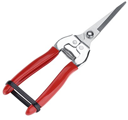 Forbici per Potatura Acciaio Inossidabile Albero da frutto Troncarami Bonsai Gardening Antiscivolo Trimming Giardino Strumento per Mano Cesoie da Giardinaggio Universale