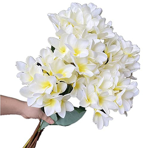 Gladiolus garden 5pcs Silk Frangipani Flower Tree Branch Fake Artificial Plumeria Rubra Tropical Flowers for Home Wedding Centerpieces Home Party Floral Decoration (white)