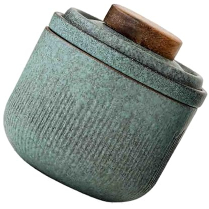 Alipis Service à Thé Portable Céramique pour Voyage Ensemble de Thé Individuel avec Infuseur Isolation Thermique Matcha Usage Extérieur et Bureau