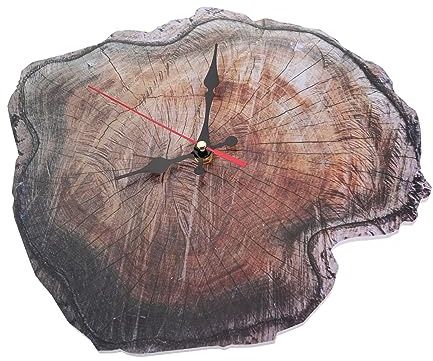 MAGICLULU Orologio Da Parete Ad Anello Annuale Orologio Silenzioso Batteria Batteria Decorativo Per Soggiorno Camera Da