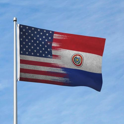 Bandera de Paraguay, bandera de América, 3x5 pies, poliéster, bandera de temporada de doble cara para jardín, decoración para exteriores, hogar, patio, festivales.