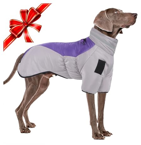 Winter Hund Jacken kaltes Wetter Hundemäntel für Große Hund Wasserdicht Haustier Kleidung Warm 2 Bein Hundesportweste Skianzug, mit Sicherheit Reflektierende Streifen & Geschirr D-Snap, Lila 6XL