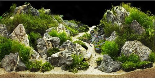 MIRRORANG 120x61cm Aquarium Hintergrund Felsen 3D Felsen Steine Gras Terrarium Hintergrund Dekoration Reptilien Tank Hintergründe