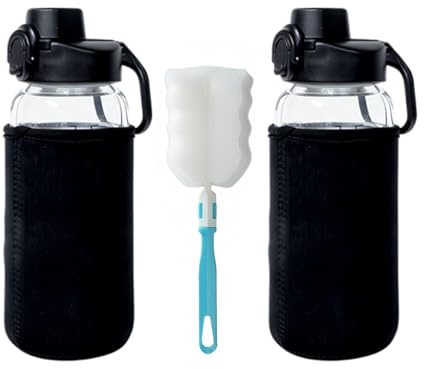 20 oz Reusable Sport Bottle with Handle, Glass Water Bottle, Clear, 2 Packs | Borosilicate Glass Juice Bottle with Stainless Steel Filter Screen & Removable Cleaning Brush, Water Jug for Tea