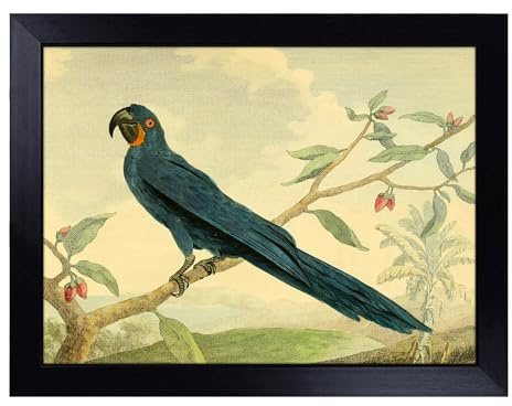 Lap Tray with Bean Bag Cushion, Vintage Charles R Ryley Hyacinth Macaw | Handmade in the UK, Raised Wooden Edge, Padded Cushion, Heat-Resistant Wipe-Clean Surface, for Meals, Laptops and Crafts