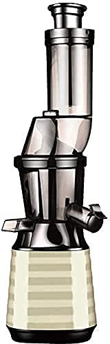 Juicer Machines,Cold Press Juicer Machine Slow Masticating Juicer Quiet Motor with Reverse Function and Non-Slip Feet Fresh Vegetable And Fruit Juice Extractor Free,(Color : G