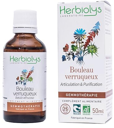 Herbiolys | Macérat de bourgeons Bio | Bouleau verruqueux (Betula verrucosa) | Articulation & Purification | Gemmothérapie Bio | 50 ml