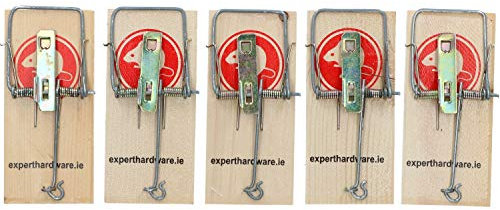 Scieries de piège à Souris Classique de Lutte Contre Les Animaux nuisibles Pest / 5pk